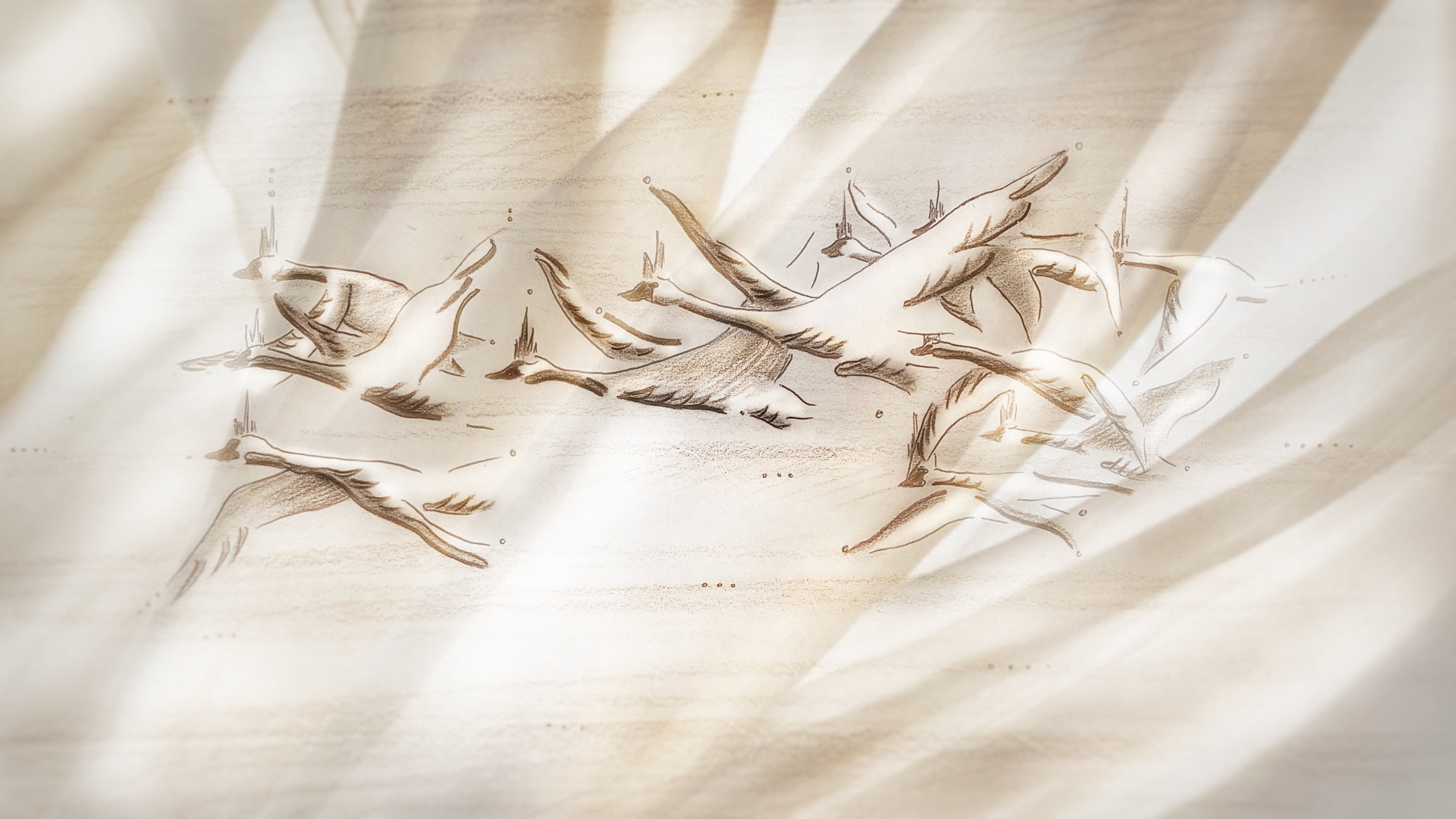 Noorte Tantsijate Suvelaager 30  “Metsluiged” – ootame suvelaagrist osa võtma tantsijaid!